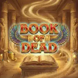 Book of Dead game at Winit Casino for United Kingdom players