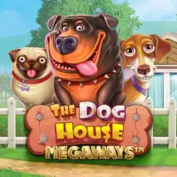 The Dog House Megaways game at Winit Casino for United Kingdom players