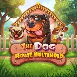 The Dog House Multihold game at Winit Casino for United Kingdom players